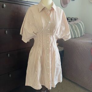 Striped Pink Button-Front Shirt Dress